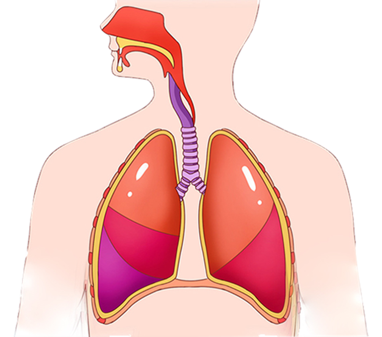 BETWAY(ķ)ٷվ-West Ham United