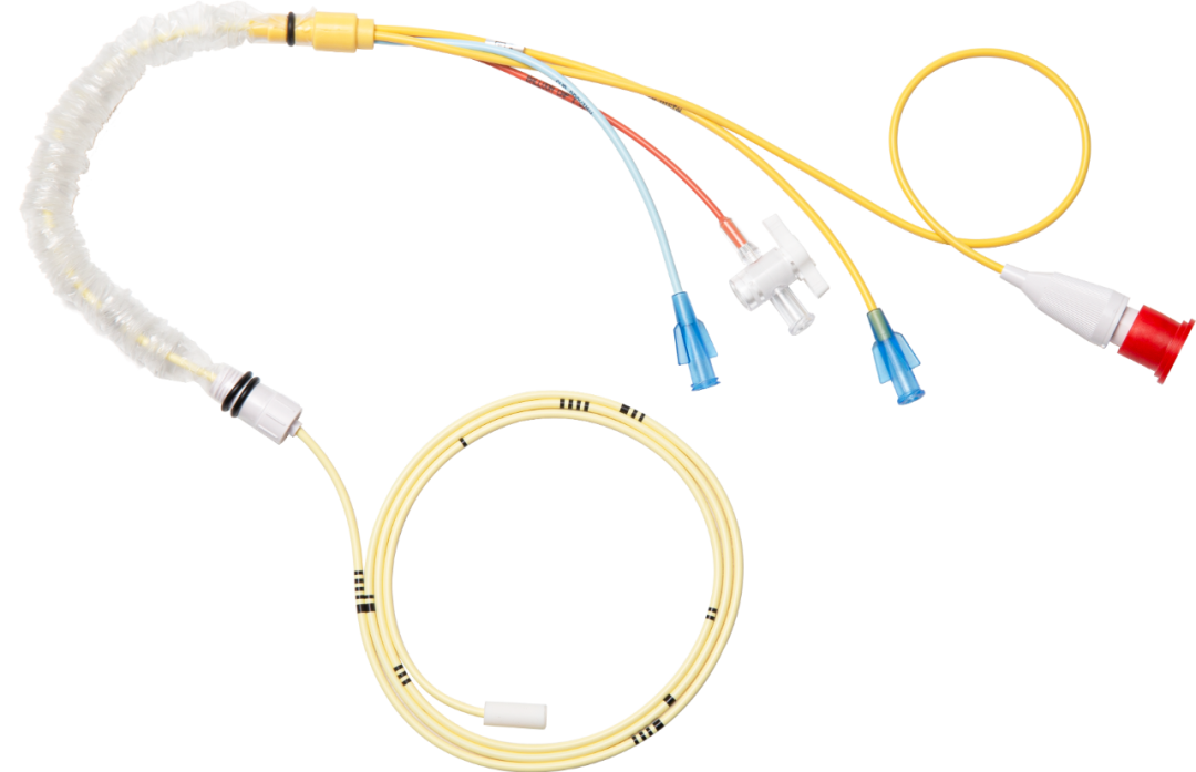 BETWAY¡¤±ØÍþ(Î÷ººÄ·Áª)¹Ù·½ÍøÕ¾-West Ham United