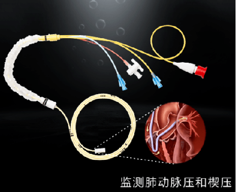 BETWAY¡¤±ØÍþ(Î÷ººÄ·Áª)¹Ù·½ÍøÕ¾-West Ham United