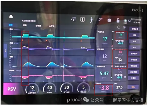 BETWAY·必威(西汉姆联)官方网站-West Ham United